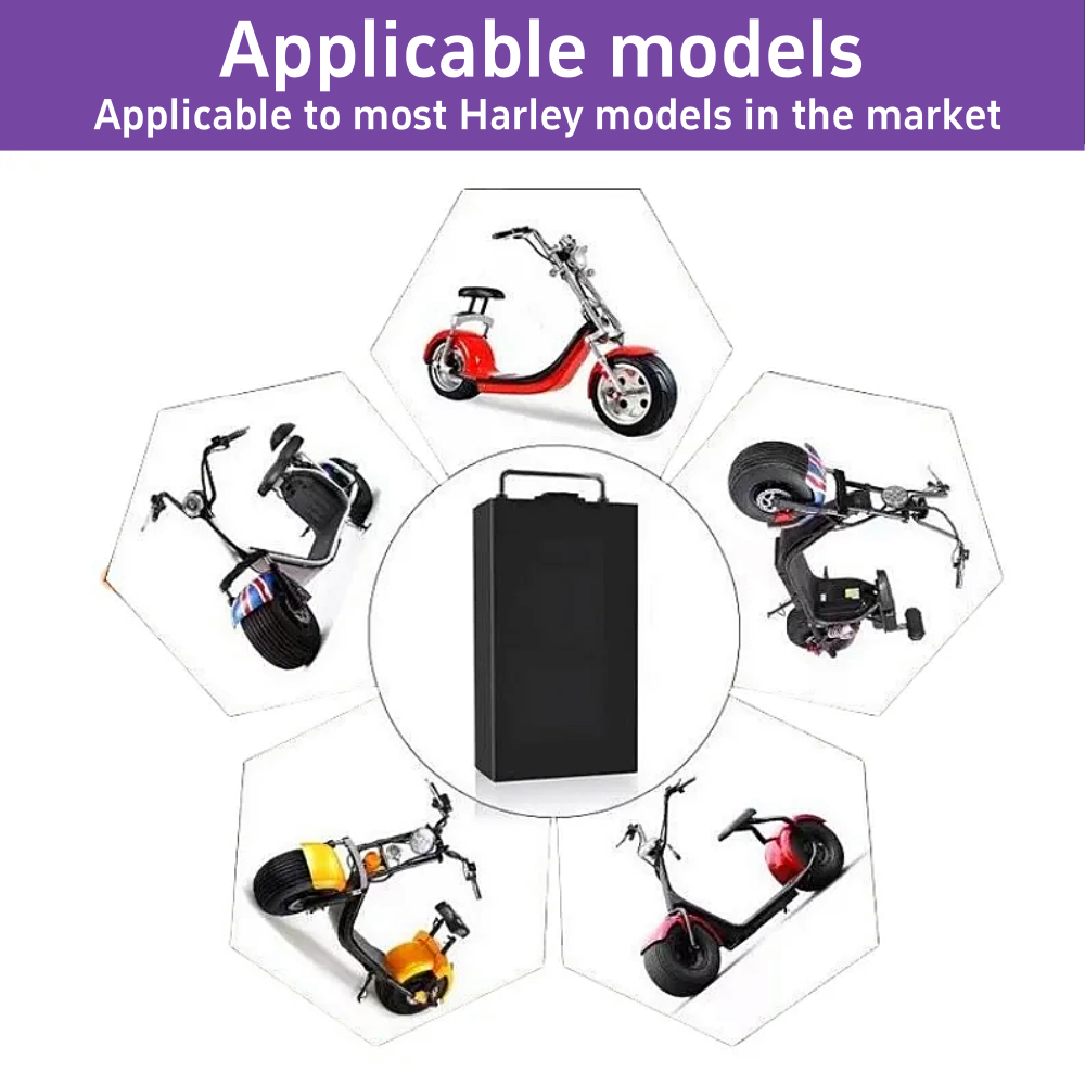60V for Harley Electric Vehicl - 60V 30Ah Electric Scooter Battery ulasan dan harga